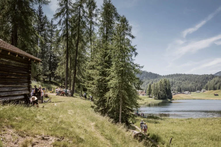 grischa brunch 1 768x512