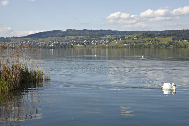 Hotel Restaurant Schifflände GA130527 H 211 768x512