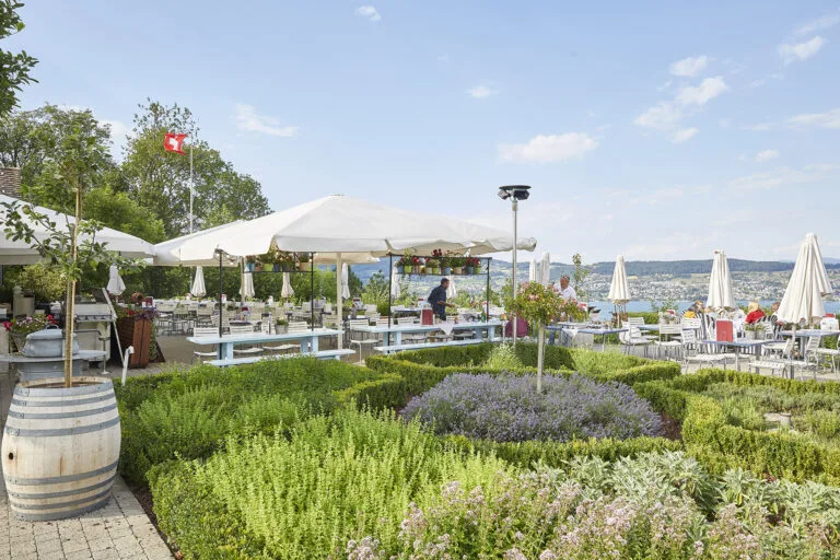 GA180627 H 328 768x512