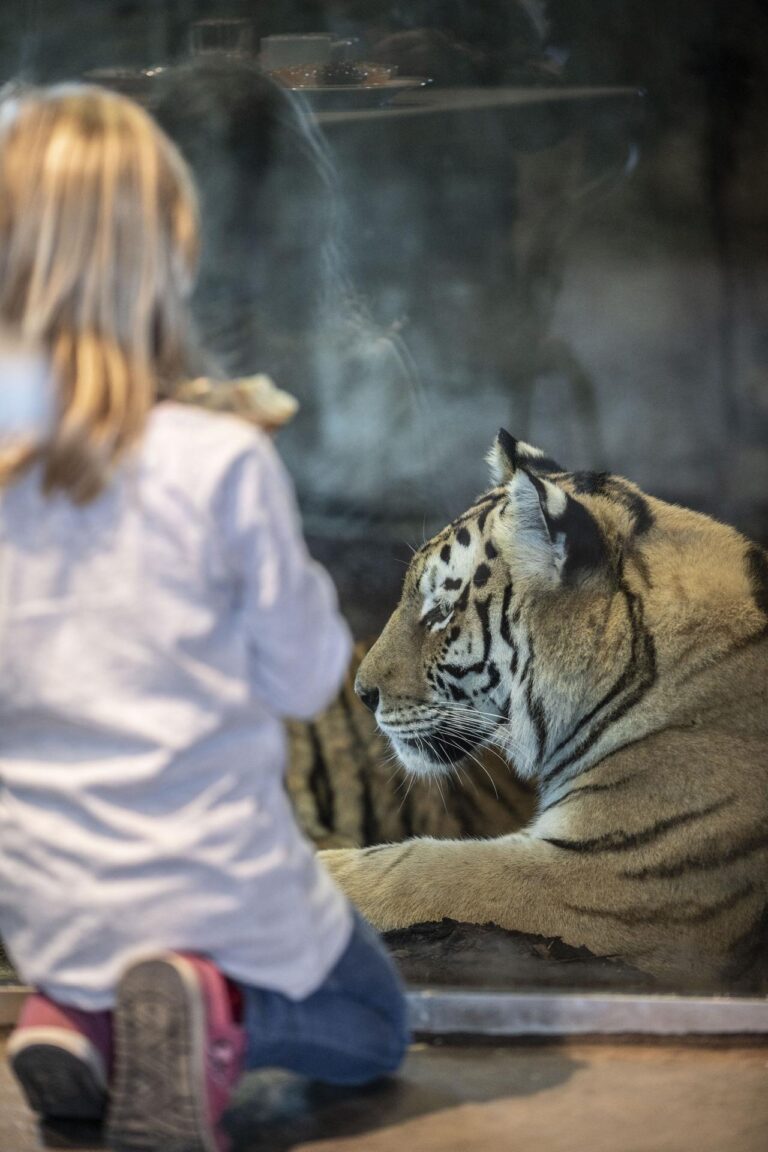 Walter Zoo Gossau wz sonntagsbrunch 4 768x1152