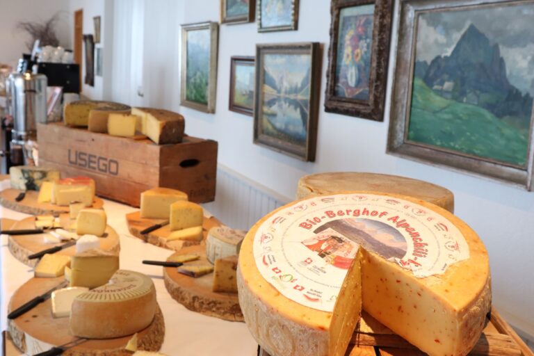 IMG 1730 reduziert 768x512