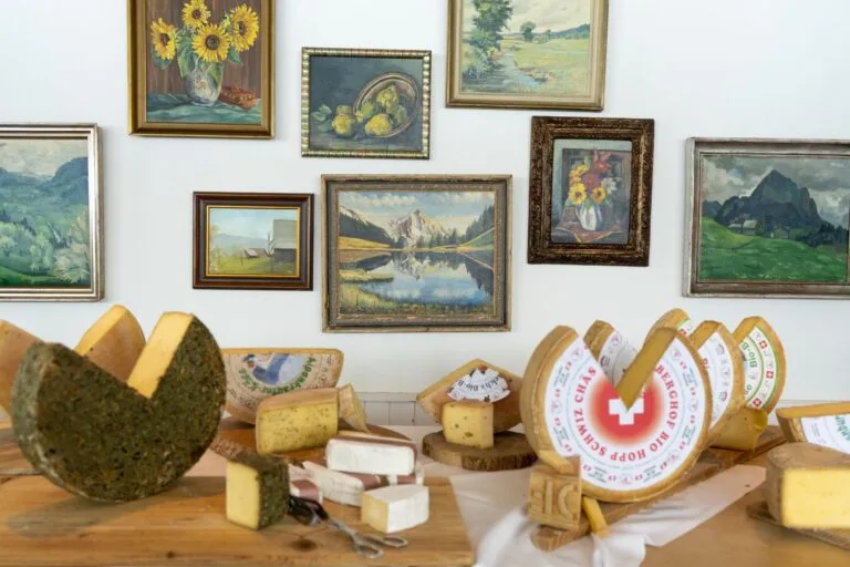 dsc04657 reduziert 768x512