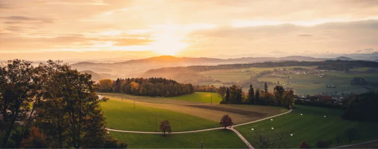 tkv marvin hasenberg 003  H6A4334 1 768x304