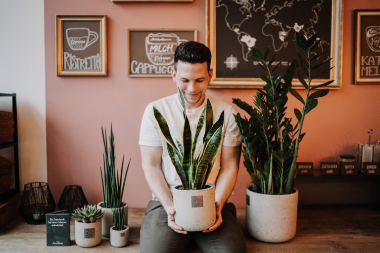 männerpflanze männerpflanze