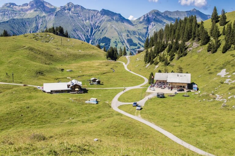 Sommer Elsigenalp 768x511