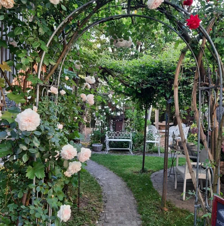 Garteneingang 06.21 768x774