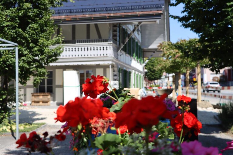 Krone Huttwil EDYK5255 768x512