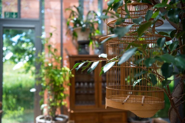 210601 SchoengruenTeam 15 768x512