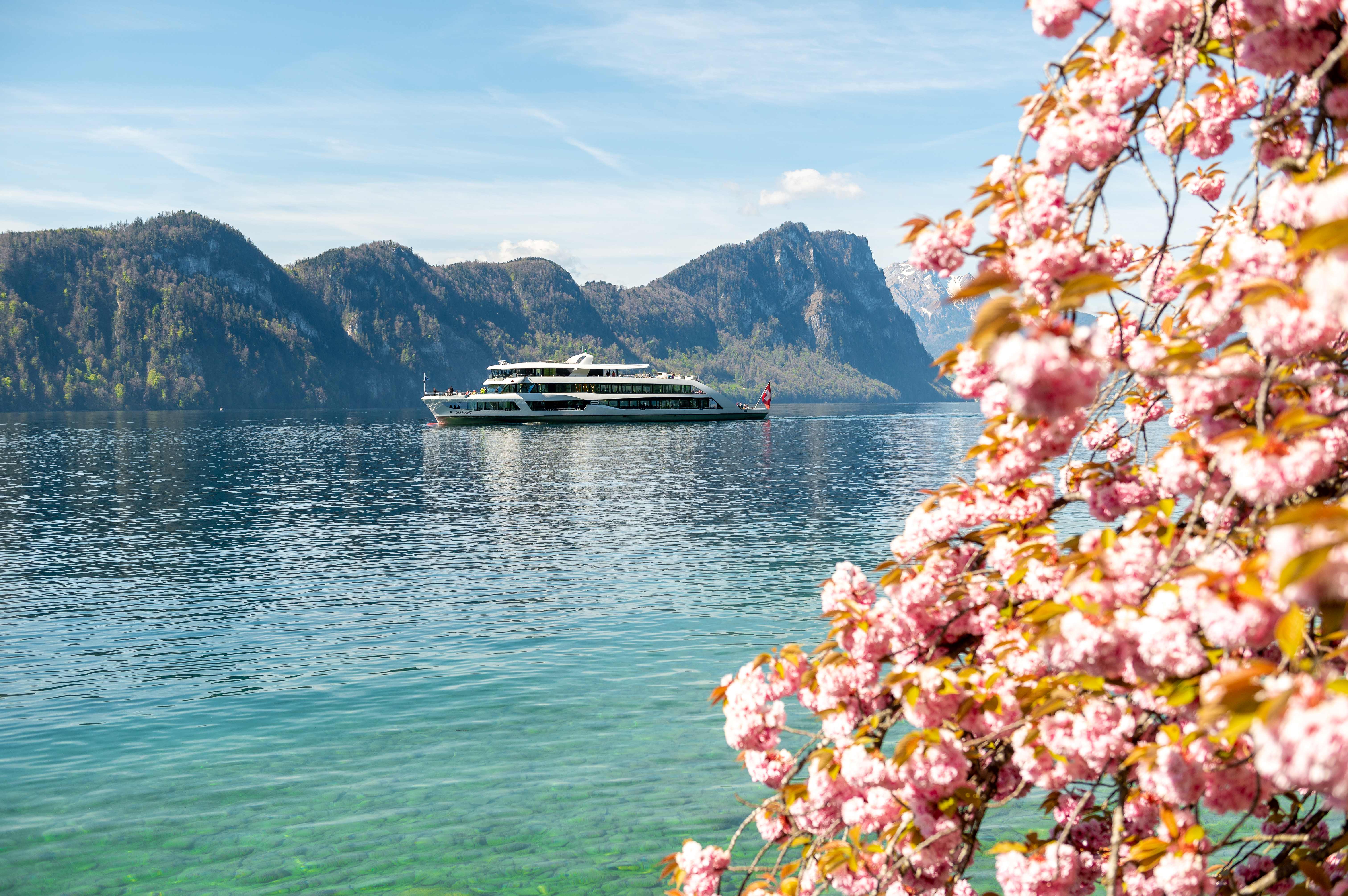 Brunch Schiff auf dem Vierwaldstättersee Fruehlingsstimmung auf dem See