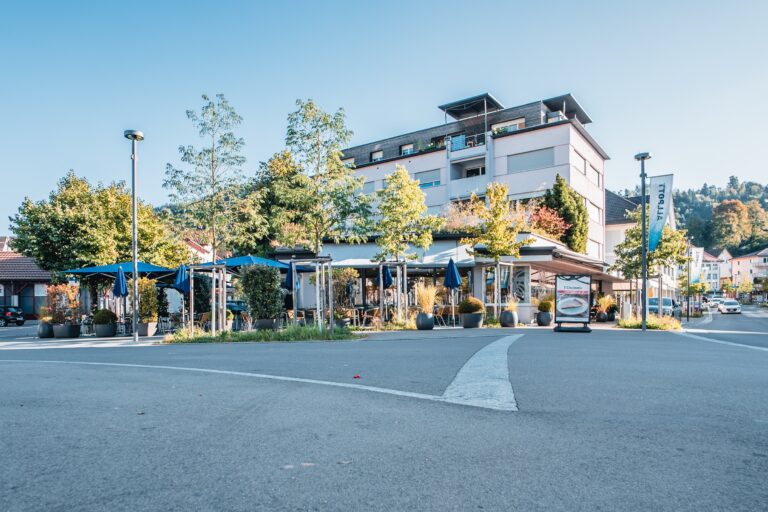 DSC01185 braun 768x512