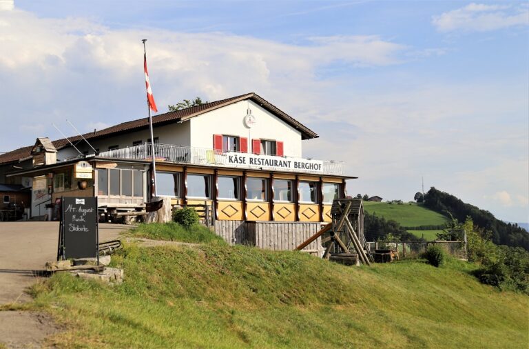 IMG 3497 2 1 768x506